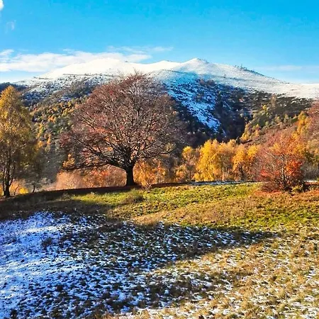 Il Giardino Nascosto - Bellagio, Di Barni