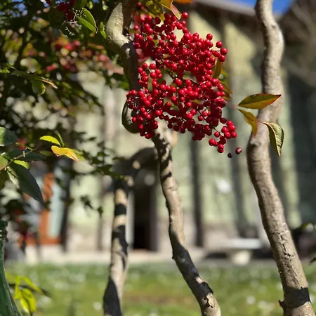 Il Giardino Nascosto - Bellagio, Di Сasa de vacaciones