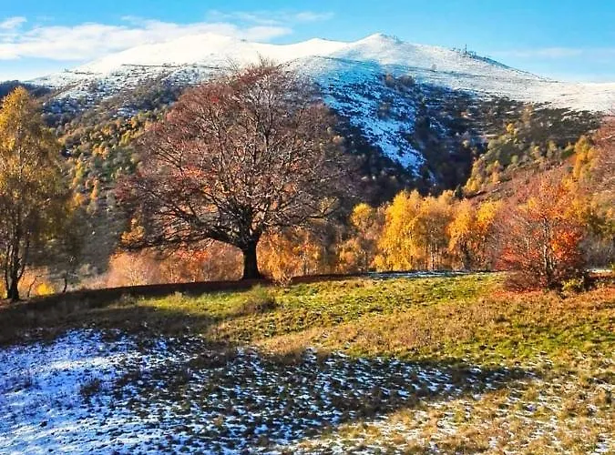 Il Giardino Nascosto - Bellagio, Di Barni