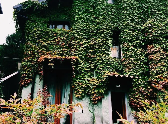 Il Giardino Nascosto - Bellagio, Di