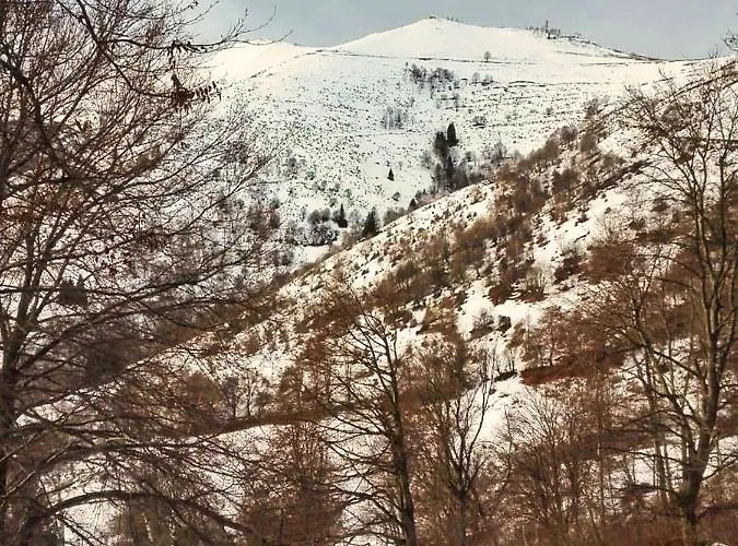 Il Giardino Nascosto - Bellagio, Di Barni