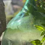 Il Giardino Nascosto - Bellagio, Di