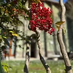 Il Giardino Nascosto - Bellagio, Di Feriehus