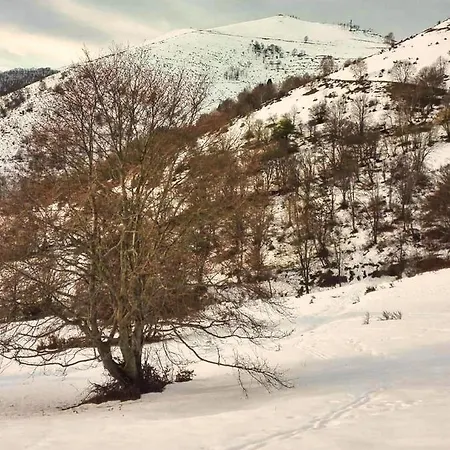 Il Giardino Nascosto - Bellagio, Di * Barni