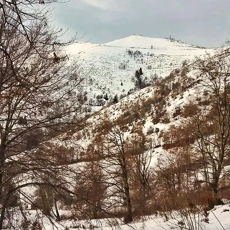 Il Giardino Nascosto - Bellagio, Di Barni