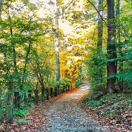 Il Giardino Nascosto - Bellagio, Di Barni