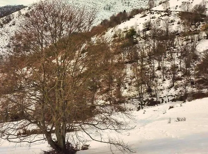 Il Giardino Nascosto - Bellagio, Di * Barni