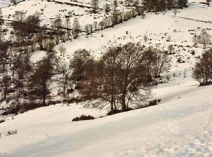 Holiday home Il Giardino Nascosto - Bellagio, Di Barni