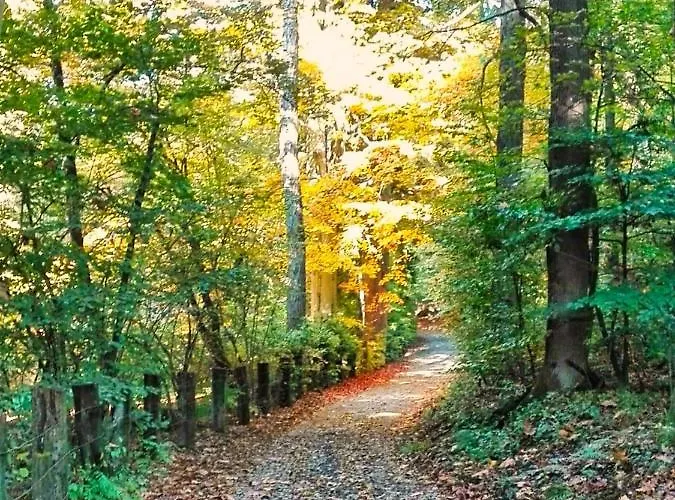 Il Giardino Nascosto - Bellagio, Di Barni